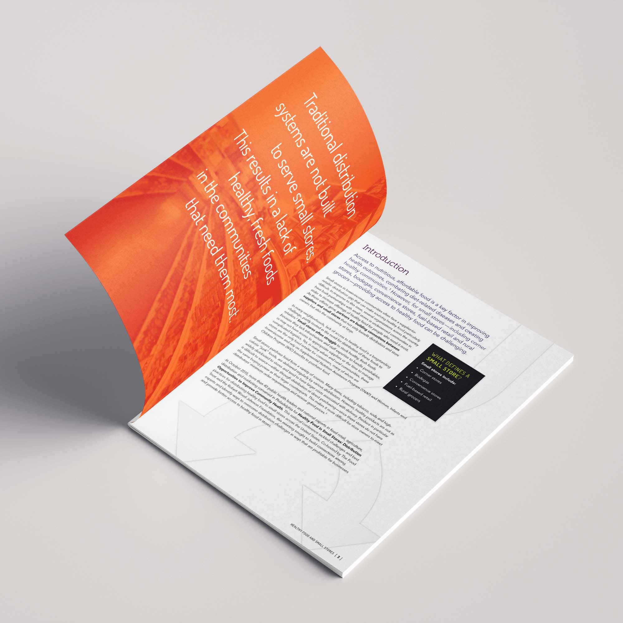 Healthy Food and Small Stores report inside cover