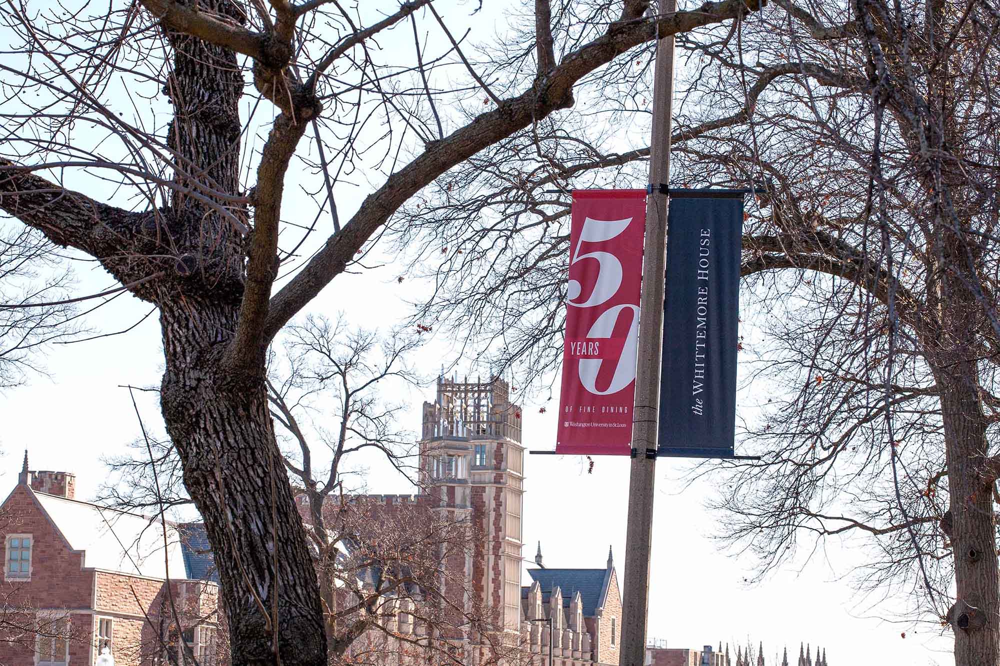 Whittemore House 50 year pole banners